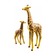 Жираф со своим детенышем жирафом